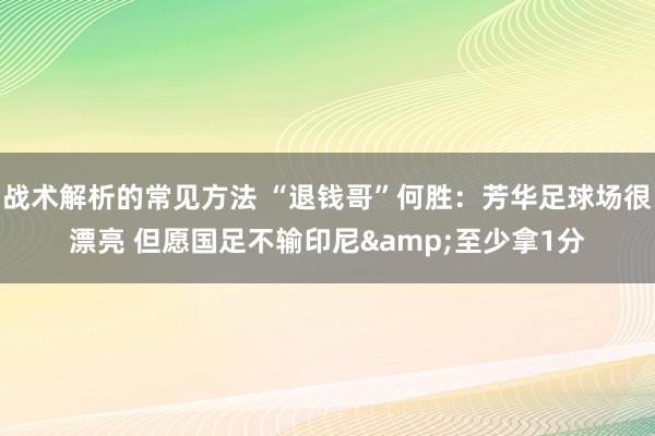 战术解析的常见方法 “退钱哥”何胜：芳华足球场很漂亮 但愿国足不输印尼&至少拿1分