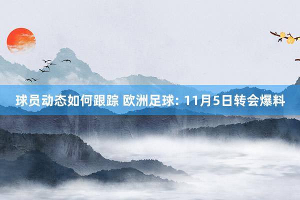 球员动态如何跟踪 欧洲足球: 11月5日转会爆料