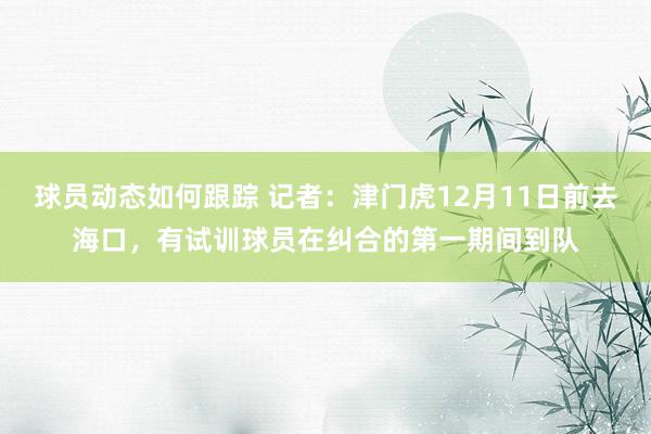 球员动态如何跟踪 记者：津门虎12月11日前去海口，有试训球员在纠合的第一期间到队