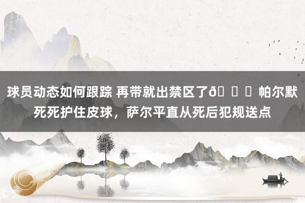 球员动态如何跟踪 再带就出禁区了😂帕尔默死死护住皮球，萨尔平直从死后犯规送点