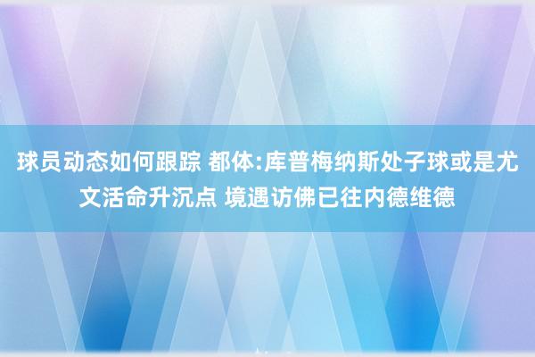 球员动态如何跟踪 都体:库普梅纳斯处子球或是尤文活命升沉点 境遇访佛已往内德维德