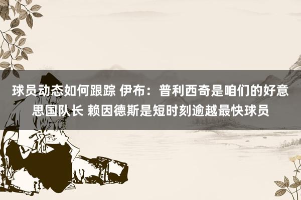 球员动态如何跟踪 伊布：普利西奇是咱们的好意思国队长 赖因德斯是短时刻逾越最快球员