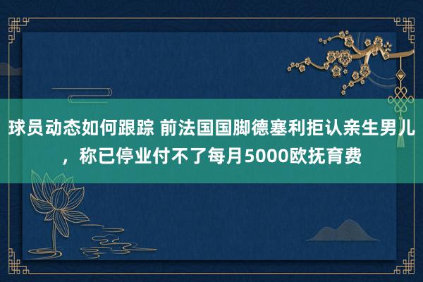 球员动态如何跟踪 前法国国脚德塞利拒认亲生男儿，称已停业付不了每月5000欧抚育费