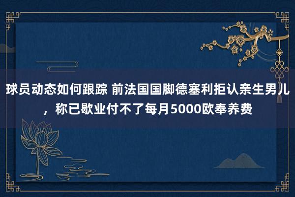 球员动态如何跟踪 前法国国脚德塞利拒认亲生男儿，称已歇业付不了每月5000欧奉养费