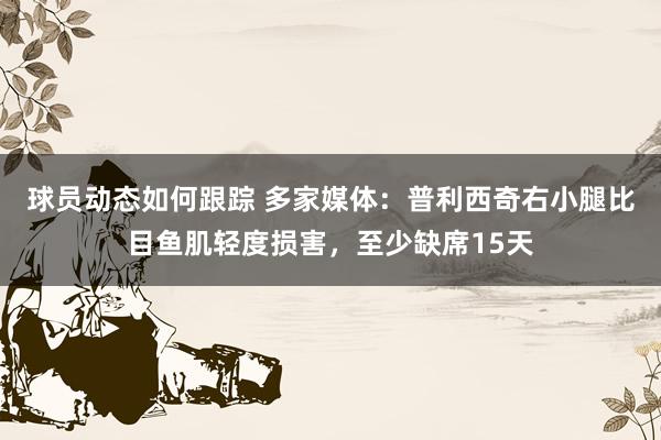 球员动态如何跟踪 多家媒体：普利西奇右小腿比目鱼肌轻度损害，至少缺席15天