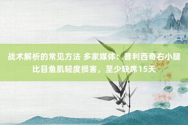 战术解析的常见方法 多家媒体：普利西奇右小腿比目鱼肌轻度损害，至少缺席15天