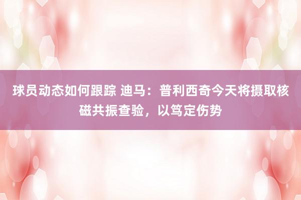 球员动态如何跟踪 迪马：普利西奇今天将摄取核磁共振查验，以笃定伤势