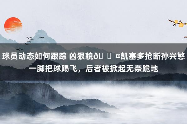 球员动态如何跟踪 凶狠貌😤凯塞多抢断孙兴慜一脚把球踢飞，后者被掀起无奈跪地