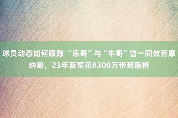 球员动态如何跟踪 “乐哥”与“牛哥”曾一同效劳摩纳哥，23年蓝军花8300万带到蓝桥