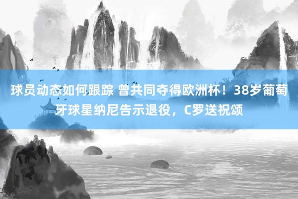 球员动态如何跟踪 曾共同夺得欧洲杯！38岁葡萄牙球星纳尼告示退役，C罗送祝颂