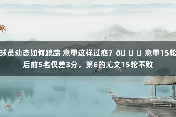 球员动态如何跟踪 意甲这样过瘾？😏意甲15轮后前5名仅差3分，第6的尤文15轮不败