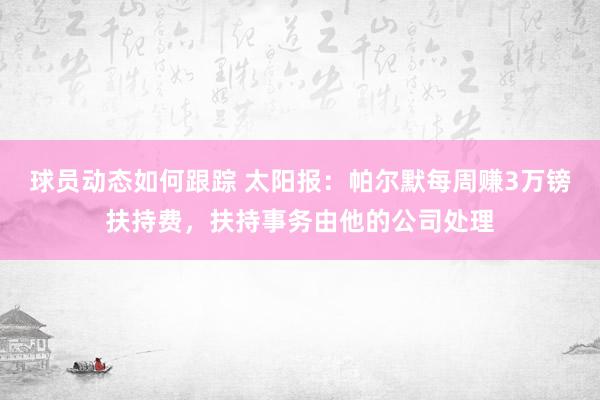 球员动态如何跟踪 太阳报：帕尔默每周赚3万镑扶持费，扶持事务由他的公司处理