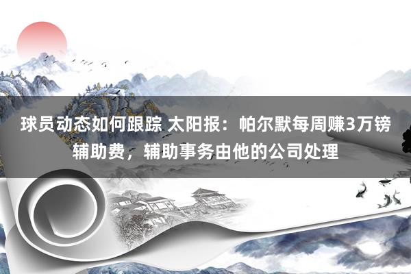 球员动态如何跟踪 太阳报：帕尔默每周赚3万镑辅助费，辅助事务由他的公司处理