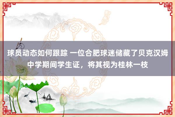 球员动态如何跟踪 一位合肥球迷储藏了贝克汉姆中学期间学生证，将其视为桂林一枝