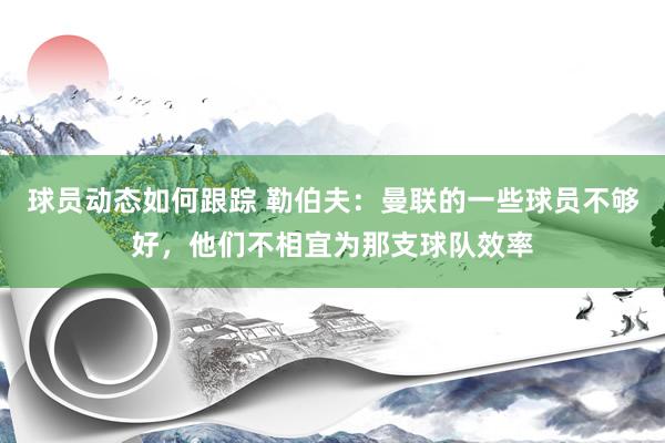 球员动态如何跟踪 勒伯夫：曼联的一些球员不够好，他们不相宜为那支球队效率