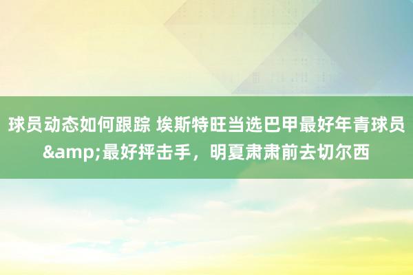 球员动态如何跟踪 埃斯特旺当选巴甲最好年青球员&最好抨击手，明夏肃肃前去切尔西