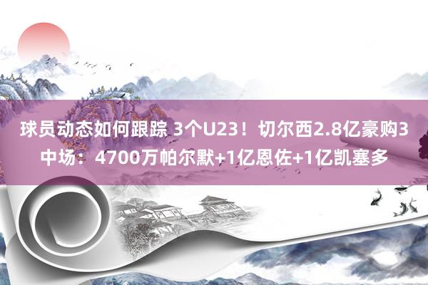 球员动态如何跟踪 3个U23！切尔西2.8亿豪购3中场：4700万帕尔默+1亿恩佐+1亿凯塞多