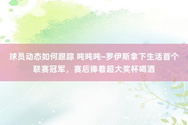 球员动态如何跟踪 吨吨吨~罗伊斯拿下生活首个联赛冠军，赛后捧着超大奖杯喝酒