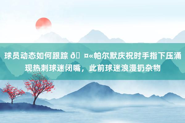 球员动态如何跟踪 🤫帕尔默庆祝时手指下压涌现热刺球迷闭嘴，此前球迷浪漫扔杂物