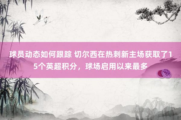 球员动态如何跟踪 切尔西在热刺新主场获取了15个英超积分，球场启用以来最多