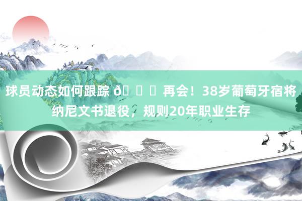 球员动态如何跟踪 👋再会！38岁葡萄牙宿将纳尼文书退役，规则20年职业生存