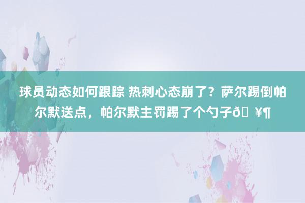 球员动态如何跟踪 热刺心态崩了？萨尔踢倒帕尔默送点，帕尔默主罚踢了个勺子🥶