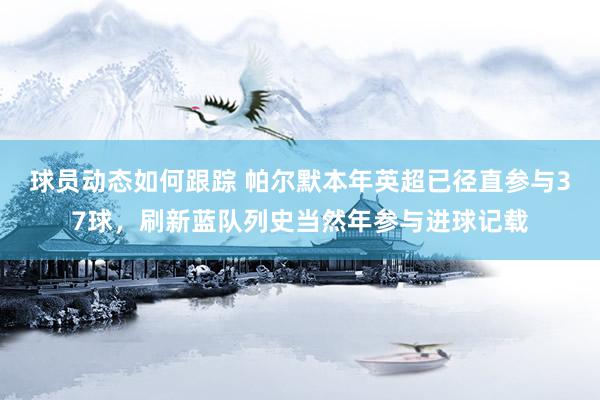 球员动态如何跟踪 帕尔默本年英超已径直参与37球，刷新蓝队列史当然年参与进球记载