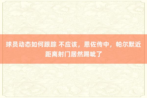 球员动态如何跟踪 不应该，恩佐传中，帕尔默近距离射门居然踢呲了