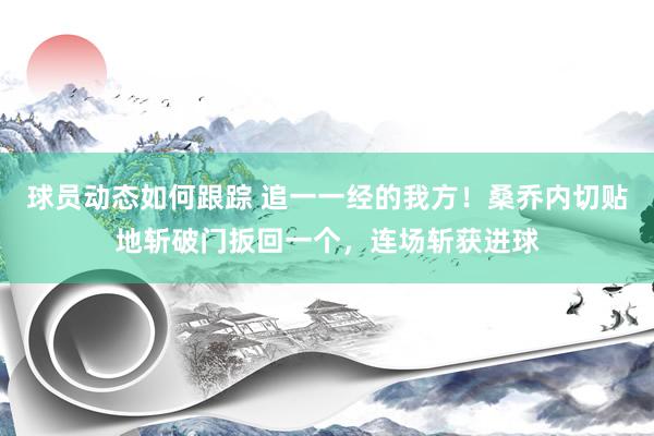 球员动态如何跟踪 追一一经的我方！桑乔内切贴地斩破门扳回一个，连场斩获进球