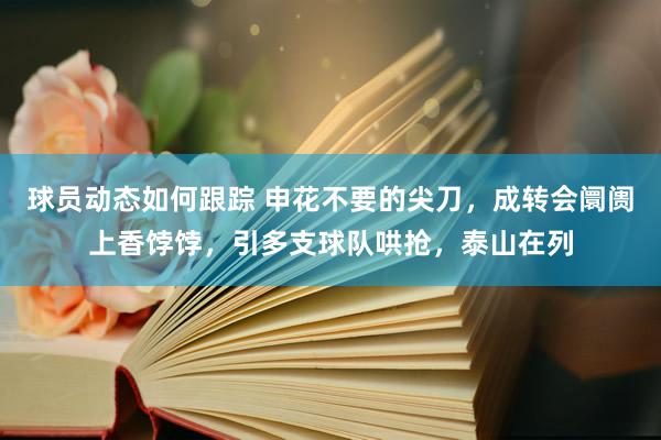 球员动态如何跟踪 申花不要的尖刀，成转会阛阓上香饽饽，引多支球队哄抢，泰山在列