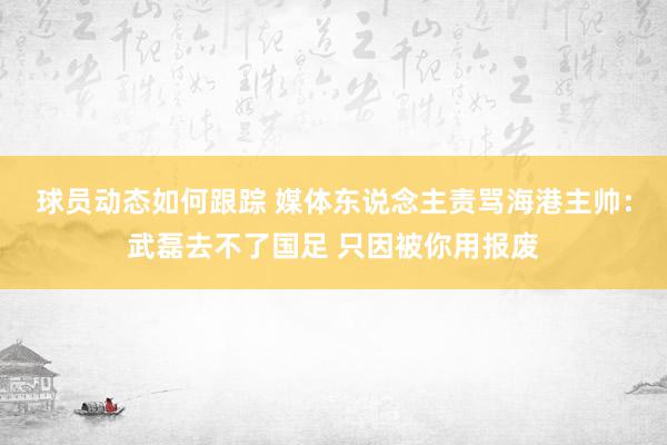 球员动态如何跟踪 媒体东说念主责骂海港主帅：武磊去不了国足 只因被你用报废