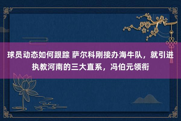 球员动态如何跟踪 萨尔科刚接办海牛队，就引进执教河南的三大直系，冯伯元领衔